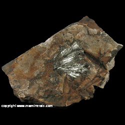 Mineral Specimen: Pyrolusite, Druze Quartz, Goethite from Taylor Iron Mine, Alberta Twp., Baraga Co., Michigan Mineral Specimen: Pyrolusite, Druze Quartz, Goethite from Taylor Iron Mine, Alberta Twp., Baraga Co., Michigan