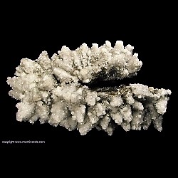 Mineral Specimen: Frosted Calcite from Santa Eulalia District, Mun. de Aquiles Serdan, Chihuahua, Mexico Mineral Specimen: Frosted Calcite from Santa Eulalia District, Mun. de Aquiles Serdan, Chihuahua, Mexico