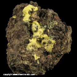 Mineral Specimen: Uranophane from Madawaska Mine, Faraday Township, Hastings Co., Ontario, Canada Mineral Specimen: Uranophane from Madawaska Mine, Faraday Township, Hastings Co., Ontario, Canada