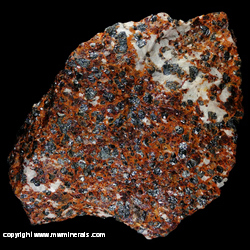 Minerals Specimen: Zincite, Franklinite, Calcite from Sterling Mine, Sterling Hill, Ogdensburg, Franklin Mining District, Sussex Co., New Jersey Minerals Specimen: Zincite, Franklinite, Calcite from Sterling Mine, Sterling Hill, Ogdensburg, Franklin Mining District, Sussex Co., New Jersey