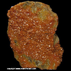 Minerals Specimen: Vanadinite from Pure Potential Mine, Silver dist., Trigo Mts, La Paz Co., Arizona Minerals Specimen: Vanadinite from Pure Potential Mine, Silver dist., Trigo Mts, La Paz Co., Arizona