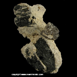 Minerals Specimen: Scheelite, Ferberite, Quartz from Tae Hwa Mine, Neungam-ri, Angseong-myeon, Chungju, Chungcheongbukdo, South Korea Minerals Specimen: Scheelite, Ferberite, Quartz from Tae Hwa Mine, Neungam-ri, Angseong-myeon, Chungju, Chungcheongbukdo, South Korea