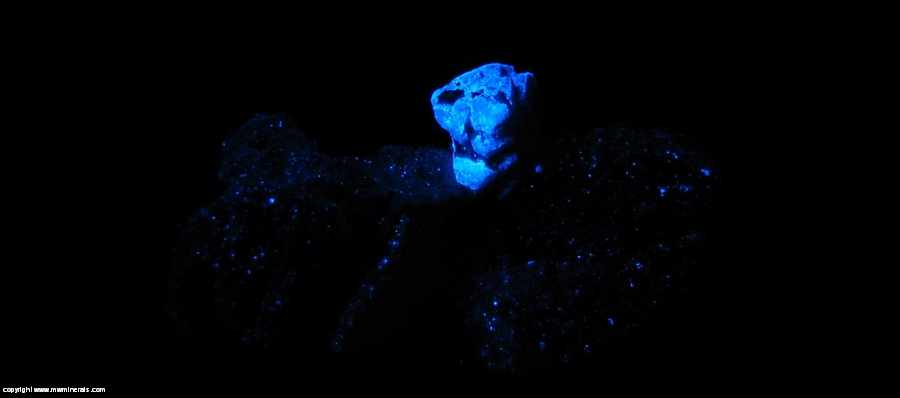 Fluorescent Mineral Specimen: Scheelite, Ferberite, Quartz from Tae Hwa Mine, Neungam-ri, Angseong-myeon, Chungju, Chungcheongbukdo, South Korea Fluorescent Mineral Specimen: Scheelite, Ferberite, Quartz from Tae Hwa Mine, Neungam-ri, Angseong-myeon, Chungju, Chungcheongbukdo, South Korea