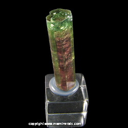 Mineral Specimen: Watermelon Tourmaline from Pederneira claim, Sao Jose da Safira, Doce valley, Minas Gerais, Brazil Mineral Specimen: Watermelon Tourmaline from Pederneira claim, Sao Jose da Safira, Doce valley, Minas Gerais, Brazil