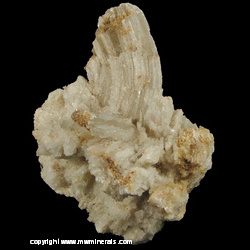 Minerals Specimen: Ram's Horn Selenite (Gypsum) from Chihuahua, Mexico Minerals Specimen: Ram's Horn Selenite (Gypsum) from Chihuahua, Mexico