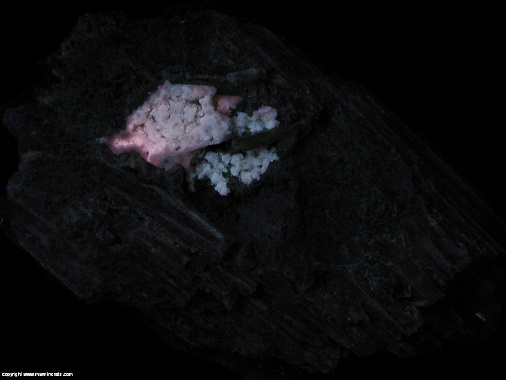 Fluorescent Mineral Specimen: Chrome Grossular Garnet, Diopside variety: Jackstraw with included Chromium, Calcite, minor Chromite from Orford Nickel mine, St-Denis-de-Brompton, Sherbrooke County, Quebec, Canada Fluorescent Mineral Specimen: Chrome Grossular Garnet, Diopside variety: Jackstraw with included Chromium, Calcite, minor Chromite from Orford Nickel mine, St-Denis-de-Brompton, Sherbrooke County, Quebec, Canada