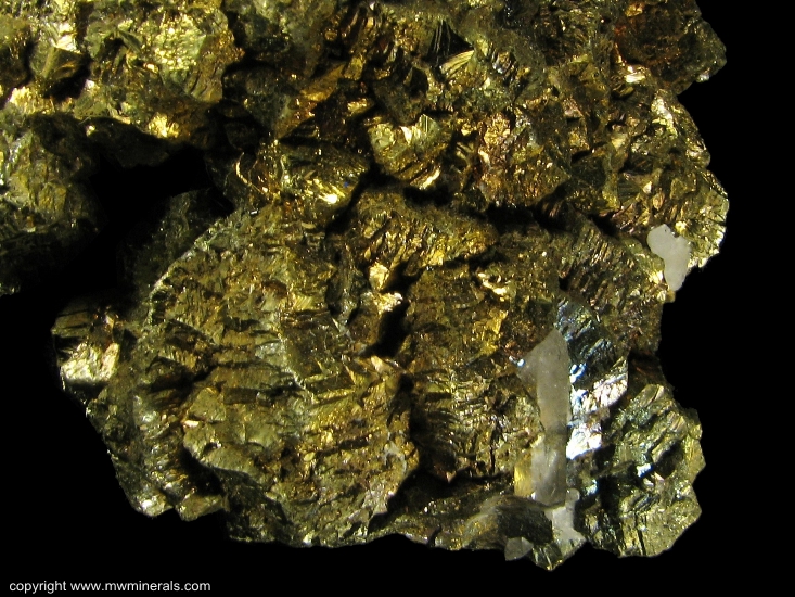 Mineral Specimen: Chalcopyrite with Quartz from Nikolaevskiy Mine, Dal'negorsk, Primorskiy Kray, Far-Eastern Region, Russia