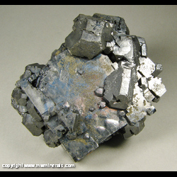 Minerals Specimen: Galena, Chlacopyrite, Sphalerite from Galena, Picher Field, Tri-State District, Cherokee Co., Kansas Minerals Specimen: Galena, Chlacopyrite, Sphalerite from Galena, Picher Field, Tri-State District, Cherokee Co., Kansas