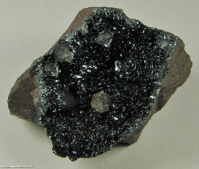 Mineral Specimen 4801 Specular Hematite, Quartz from Florence Mine
