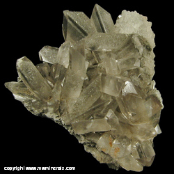 Minerals Specimen: Barite from Linwood Mine, Buffalo, Scott Co., Iowa Minerals Specimen: Barite from Linwood Mine, Buffalo, Scott Co., Iowa