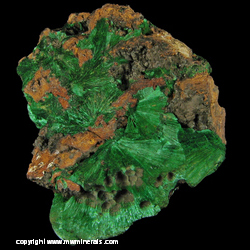 Minerals Specimen: Malachite from Copper Queen Mine, Bisbee, Cochise Co., Arizona Minerals Specimen: Malachite from Copper Queen Mine, Bisbee, Cochise Co., Arizona