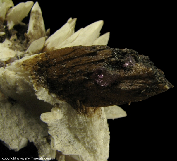 Mineral Specimen: Calcite covered with Bitumen with Fluorite from Cave-In-Rock, Hardin County, Illinois