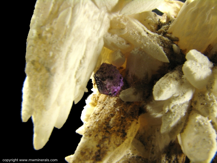 Mineral Specimen: Calcite covered with Bitumen with Fluorite from Cave-In-Rock, Hardin County, Illinois