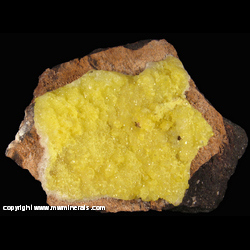 Minerals Specimen: Etrriginite, Andradite, Manganese Oxide from N'Chwaning Mines, Kuruman, Kalahari manganese field, Northern Cape Province, South Africa