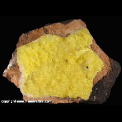 Mineral Specimen: Etrriginite, Andradite, Manganese Oxide from N'Chwaning Mines, Kuruman, Kalahari manganese field, Northern Cape Province, South Africa Mineral Specimen: Etrriginite, Andradite, Manganese Oxide from N'Chwaning Mines, Kuruman, Kalahari manganese field, Northern Cape Province, South Africa