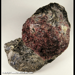 Mineral Specimen: Garnet, Biotite with possible Cordierite and Cummingtonite from Minas Gerais, Brazil