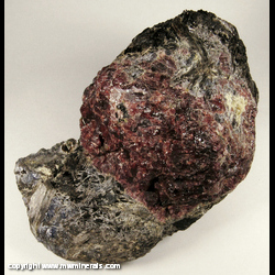 Mineral Specimen: Garnet, Biotite with possible Cordierite and Cummingtonite from Minas Gerais, Brazil Mineral Specimen: Garnet, Biotite with possible Cordierite and Cummingtonite from Minas Gerais, Brazil