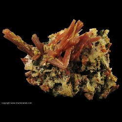Minerals Specimen: Orange Quartz on Sphalerite from 2nd Sovietskii Mine, Dal'negorsk, Primorskiy Kray, Far-Eastern Region, Russia Minerals Specimen: Orange Quartz on Sphalerite from 2nd Sovietskii Mine, Dal'negorsk, Primorskiy Kray, Far-Eastern Region, Russia