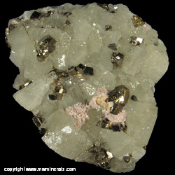 Mineral Specimen: Rhodochrosite, Pyrite, Chalcopyrite minor Calcite on Datolite from Mina Aurora, Charcas, San Luis Potosi, Mexico Mineral Specimen: Rhodochrosite, Pyrite, Chalcopyrite minor Calcite on Datolite from Mina Aurora, Charcas, San Luis Potosi, Mexico