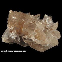 Minerals Specimen: Selenite on Goethite from Chihuahua, Mexico Minerals Specimen: Selenite on Goethite from Chihuahua, Mexico