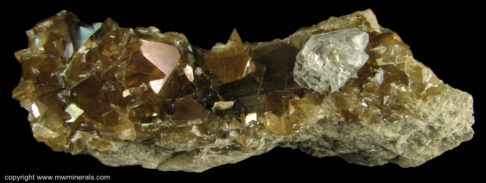 Mineral Specimen: Iridescent Calcite with Selenite from Wallace Stone Quarry, Bayport, Huron County, Michigan