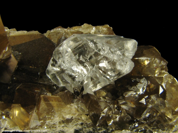 Mineral Specimen: Iridescent Calcite with Selenite from Wallace Stone Quarry, Bayport, Huron County, Michigan