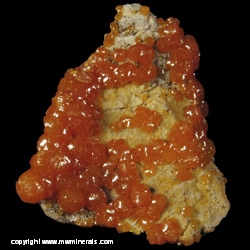 Minerals Specimen: Pyromorphite from Level 9, Bunker Hill Mine, Kellogg, Coeur d'Alene District, Shoshone Co., Idaho Minerals Specimen: Pyromorphite from Level 9, Bunker Hill Mine, Kellogg, Coeur d'Alene District, Shoshone Co., Idaho