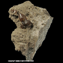 Mineral Specimen: Sphalerite from Lincoln (Nelson Aggregate) Quarry, Beamsville, Clinton Twp., Lincon Co., Ontario, Canada Mineral Specimen: Sphalerite from Lincoln (Nelson Aggregate) Quarry, Beamsville, Clinton Twp., Lincon Co., Ontario, Canada