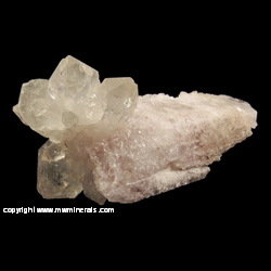 Minerals Specimen: Smoky Quartz on Danburite from Mina Aurora, Charcas, San Luis Potosi, Mexico