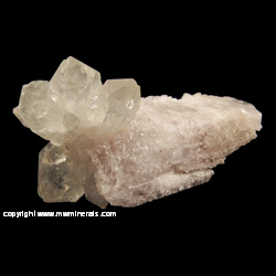 Mineral Specimen: Smoky Quartz on Danburite from Mina Aurora, Charcas, San Luis Potosi, Mexico Mineral Specimen: Smoky Quartz on Danburite from Mina Aurora, Charcas, San Luis Potosi, Mexico