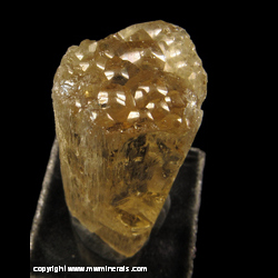 Mineral Specimen: Marialite Crystal from Aracruz, Espirito Santo, Brazil