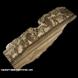 Mineral Specimen: Cotham Marble (Cotham Stone, Landscape Marble) - Stromatolitic Limestone (Fossil Algae) from Cotham formation, Penarth group, Triassic period, southwestern England near Bristol Mineral Specimen: Cotham Marble (Cotham Stone, Landscape Marble) - Stromatolitic Limestone (Fossil Algae) from Cotham formation, Penarth group, Triassic period, southwestern England near Bristol