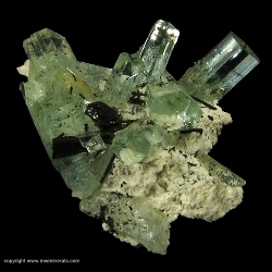 Minerals Specimen: Aquamarine and Schorl Tourmaline from Erongo Mountain, Erongo Region, Namibia