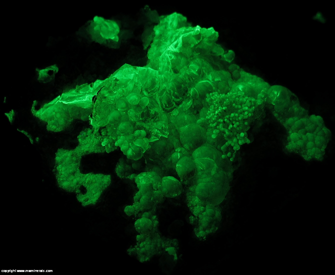 Fluorescent Mineral Specimen: Hyaline Opal from Mina el Padre (Mina Esperanza), Mapimi, Durango, Mexico Fluorescent Mineral Specimen: Hyaline Opal from Mina el Padre (Mina Esperanza), Mapimi, Durango, Mexico