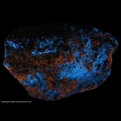 Minerals Specimen: Fluorescent Scheelite and Sphalerite from Salt Lake County, Utah Minerals Specimen: Fluorescent Scheelite and Sphalerite from Salt Lake County, Utah