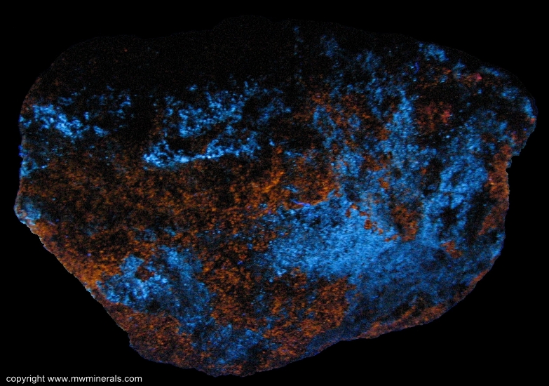 Mineral Specimen: Fluorescent Scheelite and Sphalerite from Salt Lake County, Utah
