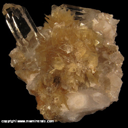 Mineral Specimen: Star Muscovite, Quartz from Rodinha Mine, Jenipapo Dist., Itinga, Minas Gerais, Brazil