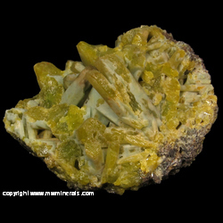 Minerals Specimen: Plumbogummite Pseduomorph after Pyromorphite from Yangshuo Mine, Yangshuo Co., Guilin Pref., Guangxi Zhuang Autonomous Region, China Minerals Specimen: Plumbogummite Pseduomorph after Pyromorphite from Yangshuo Mine, Yangshuo Co., Guilin Pref., Guangxi Zhuang Autonomous Region, China