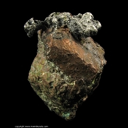 Minerals Specimen: Silver Crystals on Copper Crystal from Lake Superior Copper District, Michigan Minerals Specimen: Silver Crystals on Copper Crystal from Lake Superior Copper District, Michigan