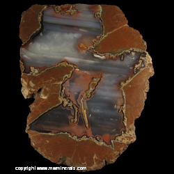 Mineral Specimen: Thunder Egg with Tube Agate Structures from Richardson Ranch (Priday Ranch), Madras, Jefferson Co., Oregon Mineral Specimen: Thunder Egg with Tube Agate Structures from Richardson Ranch (Priday Ranch), Madras, Jefferson Co., Oregon