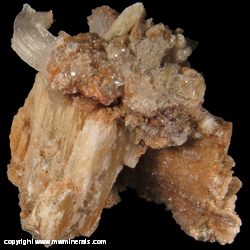 Mineral Specimen: Rams Horn Selenite (Gypsum) from Chihuahua, Mexico