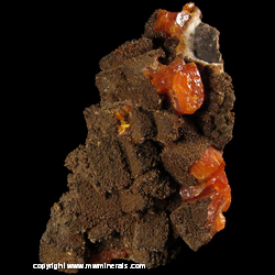 Mineral Specimen: Descloisizite Coating Wulfenite from Ahumada Mine, Los Lamentos, Chihuahua, Mexico