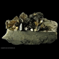 Minerals Specimen: Polylithonite on Albite with Aegirine from Poudrette Quarry, Mont Saint-Hilaire, Rouville RCM, Monteregie, Quebec, Canada