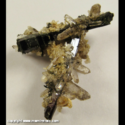 Minerals Specimen: Aegirine, Quartz from Mt. Malosa, Zomba, Malawi Minerals Specimen: Aegirine, Quartz from Mt. Malosa, Zomba, Malawi