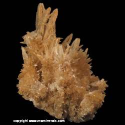 Mineral Specimen: Cactus Calcite from Yerington District, Singatse Range, Lyon Co., Nevada