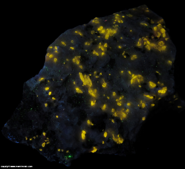 Fluorescent Mineral Specimen: Wollastonite from Sterling Mine, Sterling Hill, Ogdensburg, Franklin Mining District, Sussex Co., New Jersey Fluorescent Mineral Specimen: Wollastonite from Sterling Mine, Sterling Hill, Ogdensburg, Franklin Mining District, Sussex Co., New Jersey