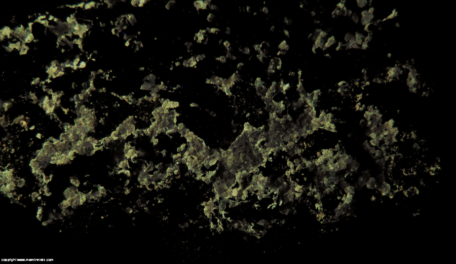 Fluorescent Mineral Specimen: Powellite from Tonopah Divide Mine, Tonopah, Tonopah District, San Antonio Mts, Nye Co., Nevada Fluorescent Mineral Specimen: Powellite from Tonopah Divide Mine, Tonopah, Tonopah District, San Antonio Mts, Nye Co., Nevada