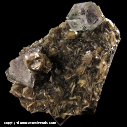 Minerals Specimen: Fluorite Penetration Twins, Muscovite from Yaogangxian Mine, Yizhang Co., Chenzhou Prefecture, Hunan Province, China Minerals Specimen: Fluorite Penetration Twins, Muscovite from Yaogangxian Mine, Yizhang Co., Chenzhou Prefecture, Hunan Province, China