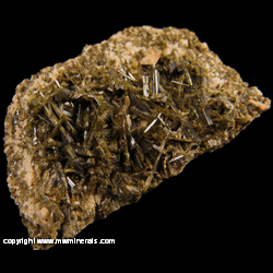 Mineral Specimen: Epidote from Bakersville, Cane Creek Section, Mitchell Co., North Carolina Mineral Specimen: Epidote from Bakersville, Cane Creek Section, Mitchell Co., North Carolina