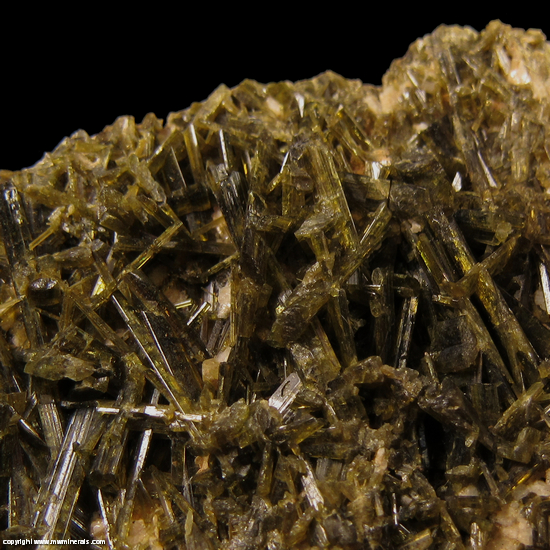 Mineral Specimen 5074 Epidote from Bakersville, Cane Creek Section